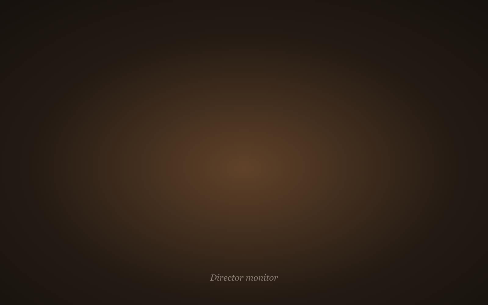 Director monitor